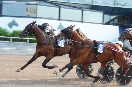 Inför V86: ”Väntat ut honom”