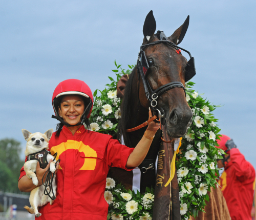 Joviality startar i P d’A