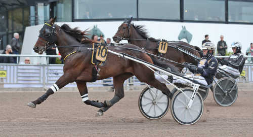 V75: ”Trivs med livet”