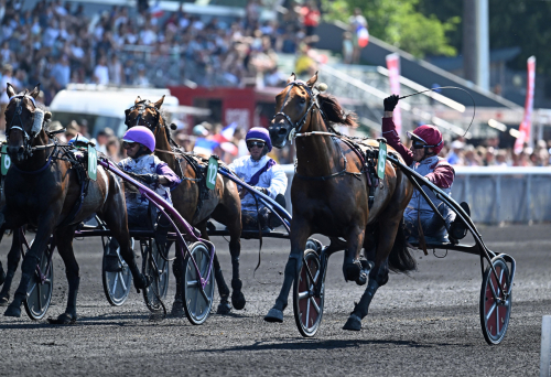 Koctel du Dain på topptid