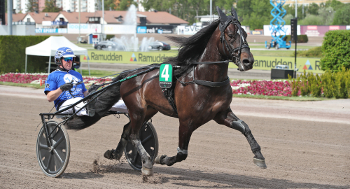 Allkonstnär vann klassiker