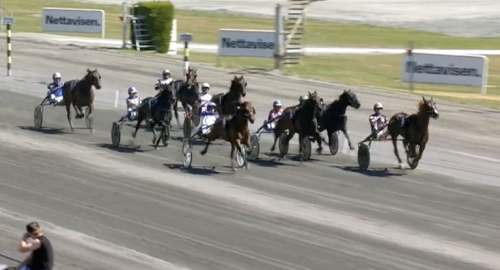 Auktionslopp till Nuncio-son