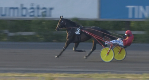 Inget banrekord i Tingsryd