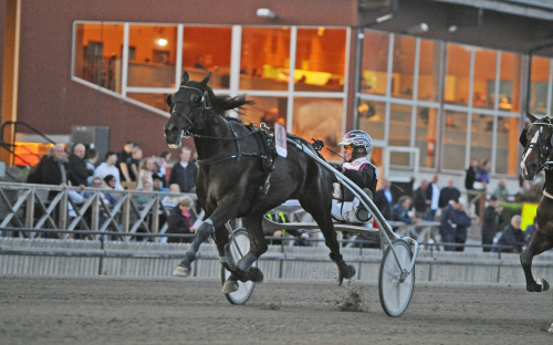 Hemmaseger på Dannero