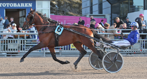 Inför V75: Gulddivisionen sticker ut från mängden