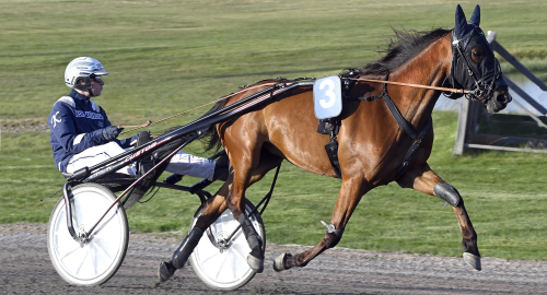 V86: ”Test inför Stochampionatet”