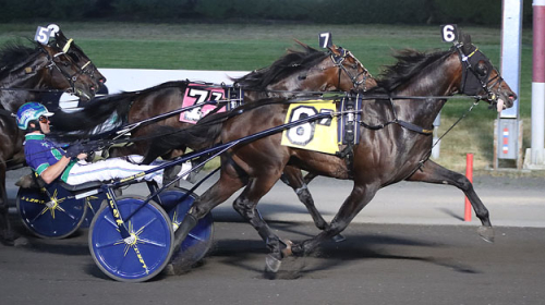 Kihlström kör Hambokval