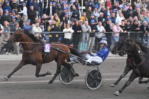 ”Ryckte aldrig tussarna”