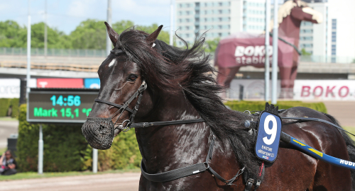 B.W.Sture mot jubileum