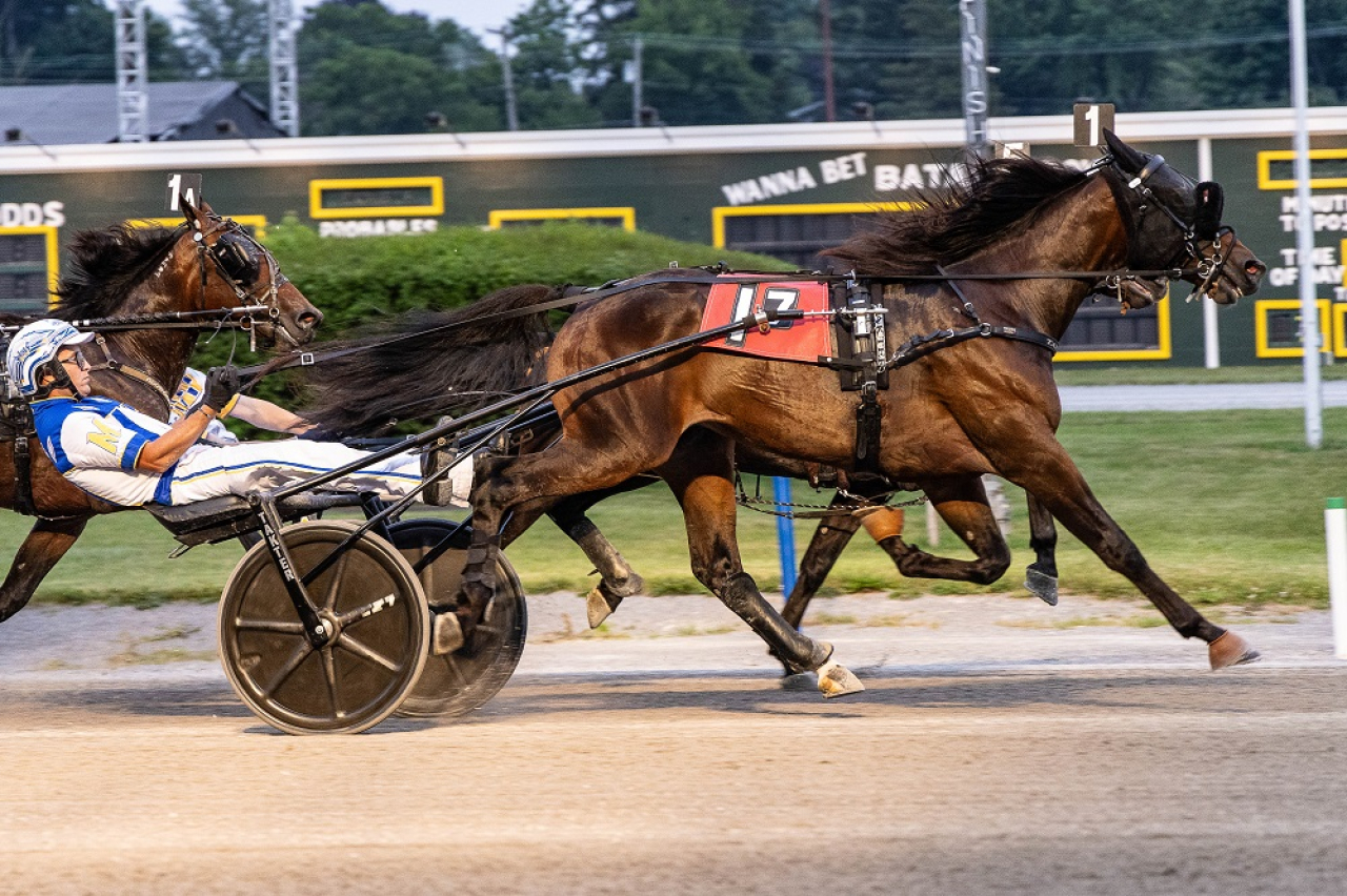 Bargain vid nattens triumf på Batavia Downs. Foto: Wendy J. Lowery Photo