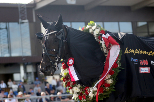 Vilket möderne, Joy Sisu!