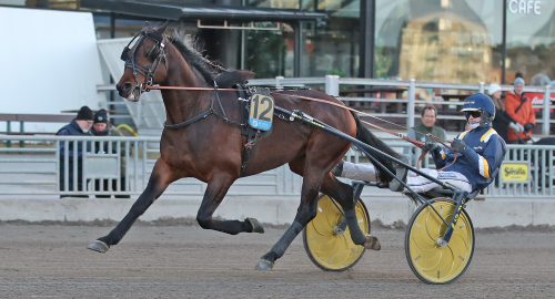 Inför V75: Elitloppsduo mot vinterns häst