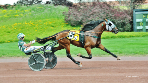 Framgångar för blågult