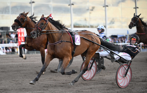 Stökig och ohotad vinnare