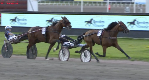 Maharajah-dotterns uppvisning