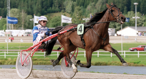 Sagostoet blev 29 år