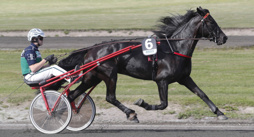 V75: Amatörens stora succé