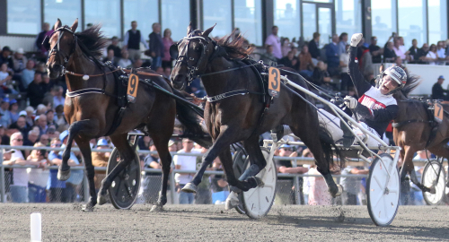 Joy Sisu på världsrekord