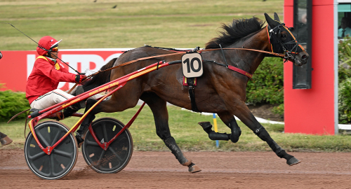 Förlorade stjärna dyrast