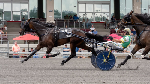 Greenshoes premiäretta