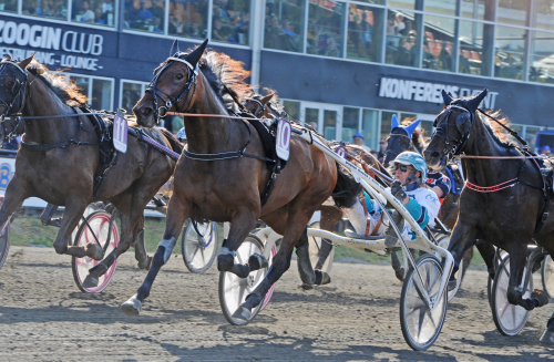 Världsrekord i Åmål