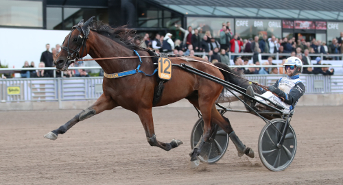 V75-tips: Dags för nytt rån!