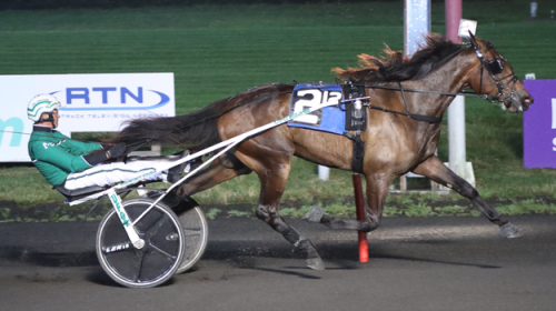 Fyrtal för svenskar