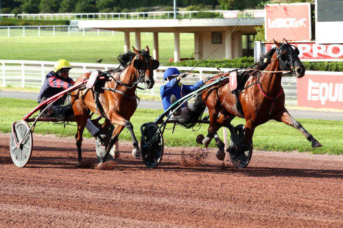 Certainly visade klass