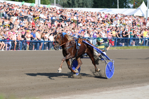 Dramatik i Kungstravet
