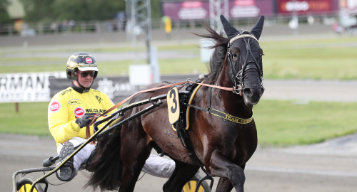 Plock: Hästen att slå i Derbyt
