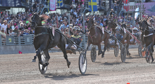 V75-tips: Jackpot för Castor