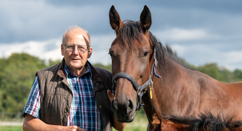 Årets föl i Sverige?