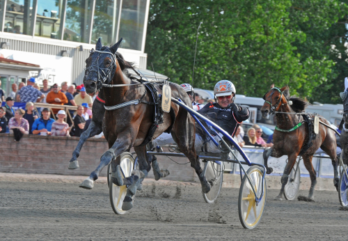 Topphästar i BC-försök