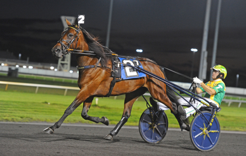 Bokslut med dyringar