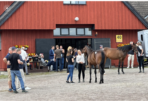 Sto kostade 3,4 miljoner