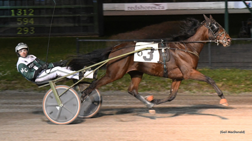 Obesegrad i 16 starter