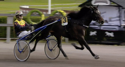 Vilken uppvisning, Majblomster!