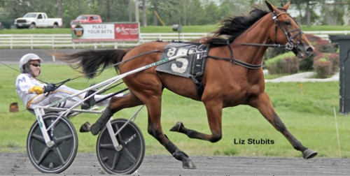 Överlägsen Senorita