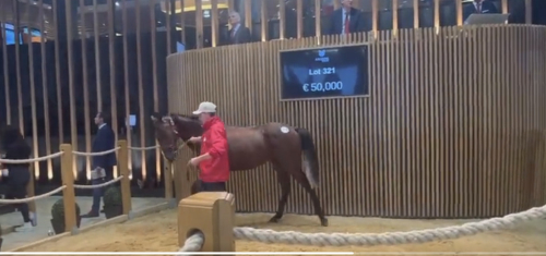 Åtta svenskköp i Deauville