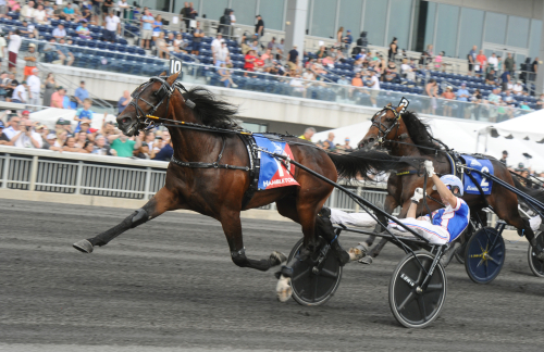 Hambo-etta på Red Mile