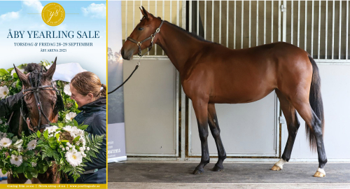 Ettåringsauktion på Åby