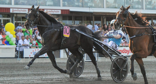 V75: Aetos Kronos nya show