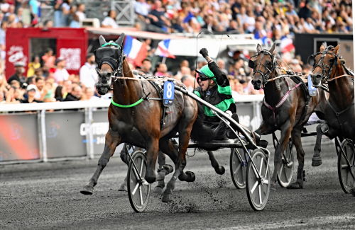 Sila mygg och svälja elefanter