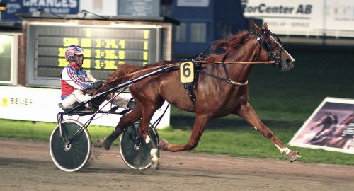 ”Hästen är jättebra”