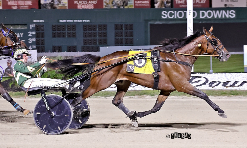 Storseger till Svanstedt