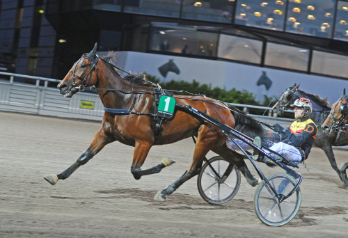 Från världsrekord till höstfavorit