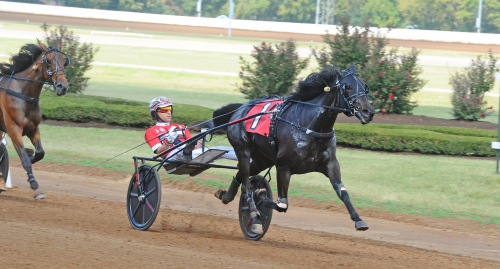 Svenska segrar på Red Mile