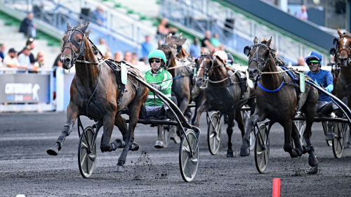 Klar för start efter gräsjobb