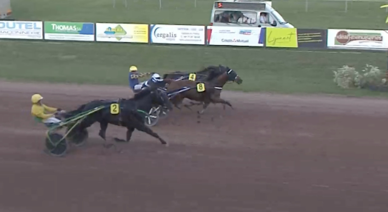 Horsy Dream (mitten) håller undan för invändige Eric the Eeel och utvändige Gamay de l'Iton.