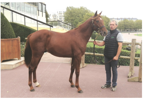 Rekordettåring i Caen